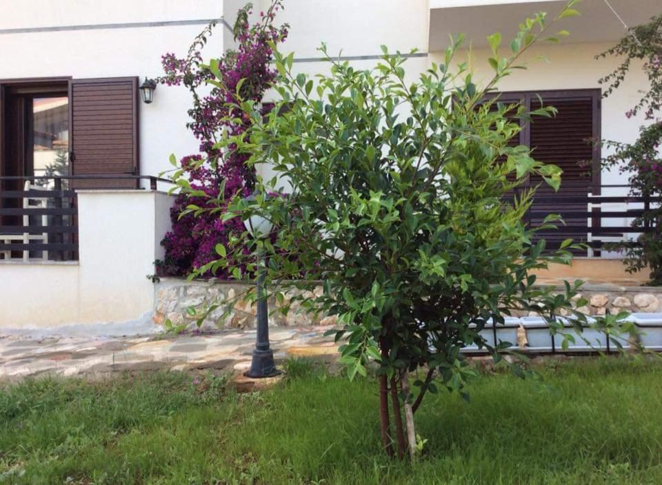 Hotel Natali Dhermi Bagian luar foto